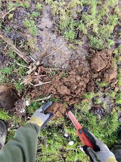 First Target of Digstock XII #digstock #metaldetecting #treasurehunting