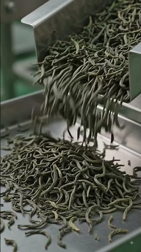 How Tea Is Made 🍃 | Inside a Modern Tea Factory