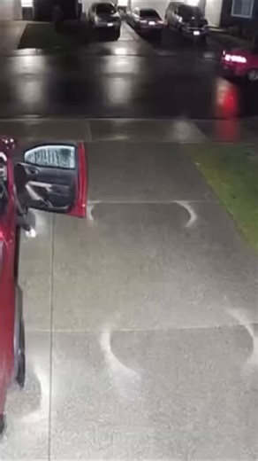 Homeowner Catches Thieves In The #ct#cops #police | police