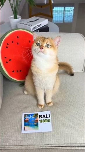 Tool Item 😍! New Viral Gadget, smart appliances, Kitchen Utensils/Home Inventions#shorts #gadgets