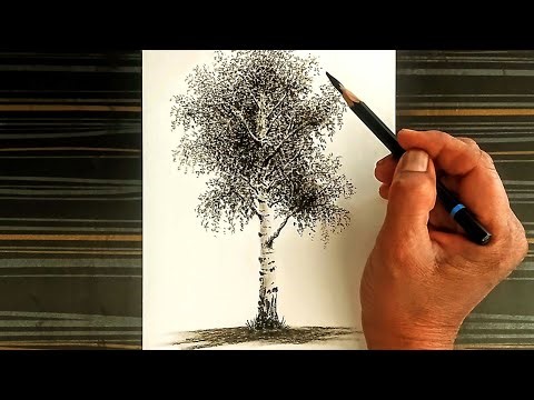 How to draw a birch tree by pencil with easy ways.