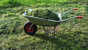 What to Do with Grass Clippings: 3 Ways to Put Them to Use