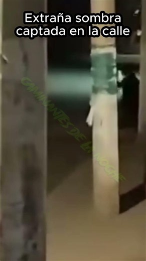 Extraña sombra captada en la calle #alien #brujolandia #brujas #paranormal #miedo #terror #horror