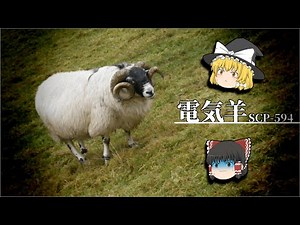 【ゆっくり解説】SCP-594 電気羊