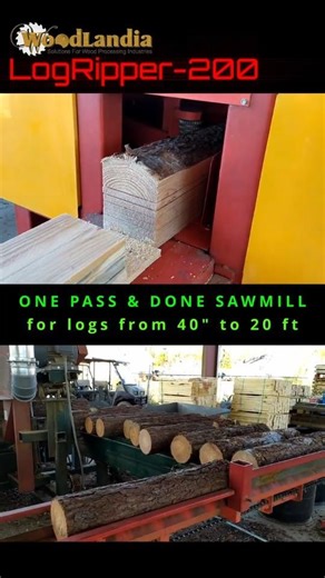 Pallet board mill = LogRipper 200 (2019) for Logs: 4-11" (100-280mm). Short 260206