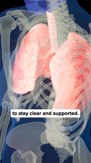 "I wasn’t sick. I was just tired of sounding like a coffee maker. Doctors said I was ‘fine.’ But I knew my lungs weren’t clear. RespiClear helped me get the mucus out — for real. If you’re waking up with a weight on your chest, give this a shot." 🧪 Powered by time-tested lung herbs 🫁 Helps you breathe deeper, sleep better 🎯 No judgment — just relief | RespiClear