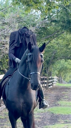 How incredible is this #DIY #HeadlessHorseman costume?! 🤩🐴🎃 My horse trainer came up with the most GENIUS pool noodle hack, the only HH costume I’ve seen that’s easy to ride a horse in. Get full DIY costume details on therosetable.com. 👻 #sleepyhollow #halloweencostume #diyhalloween #horsegirl | The Rose Table