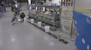 3.1K views · 55 reactions | Have any of your kids had a diamondback terrapin as a class pet? It may have been a part of our Terrapins in the Classroom program! This program helps students form a connection to the Chesapeake Bay while also strengthening terrapins before releasing them back into their natural environment. From measuring terrapins’ length to building model habitats, Terrapins in the Classroom inspires students to care for our local watershed.  | National Aquarium | Facebook