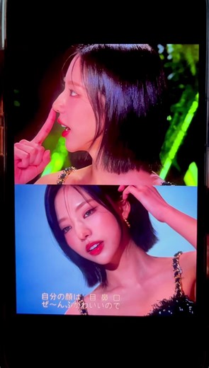 貴族基部と平民基部の違いを解説