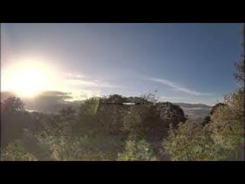 Doncaster LIVE weather with Birdcam