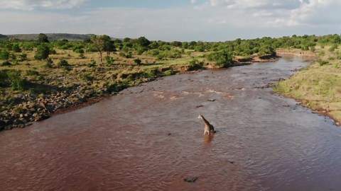 Aerial Africa: Discovering the Maasai Mara from above