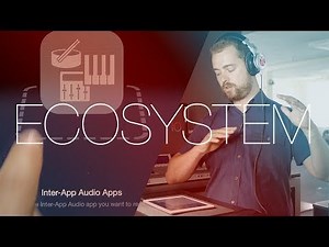 Inter App Ecosystem — iMPC Pro Log