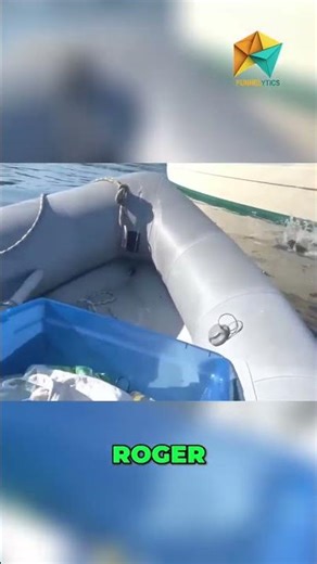 Watch This Cat's Epic Sailboat Jump! #shorts