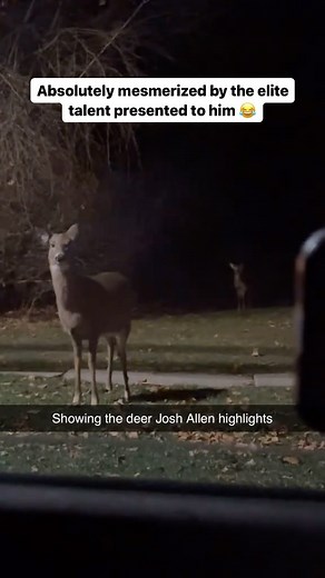 Even nature gets to experience the greatness of Josh Allen 😂🤣 (via: dibble_gaming/TT) | The Athletes Plug