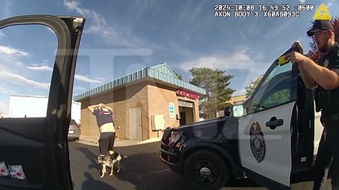 Colorado Cops Find Sex Toy in Car During Traffic Stop, Body Cam Video Shows