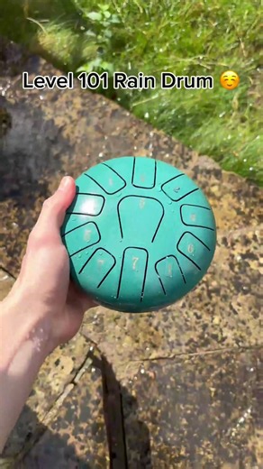 There's a huge difference ☺️💦 #raindrum #instrument #garden #home