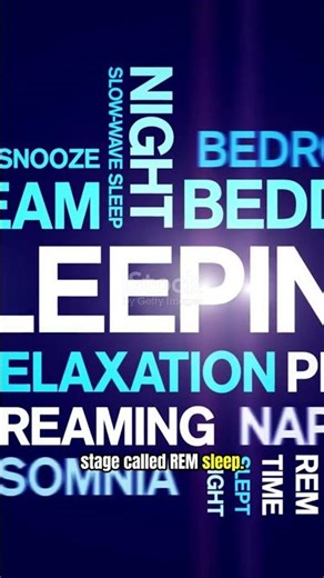 Why Do We Dream? 🌙