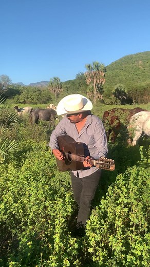 Rayando el sol 🎶@destacar David Araujo #reelsfbシ #viralreels #reelsfypシ #reelsfypシ | David Araujo
