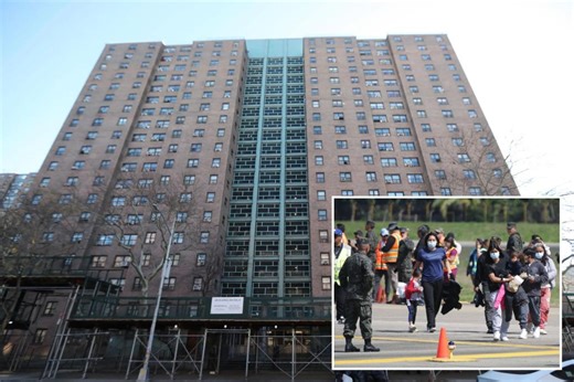 Why are illegal migrants still allowed to live in public housing?