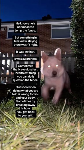 My posts are not for everyone. But it maybe for you?