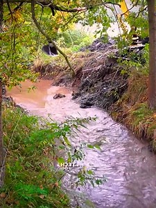 110K views · 1.7K reactions | Beaver Dams Removal With Excavator | Beaver Dam Removal | Facebook
