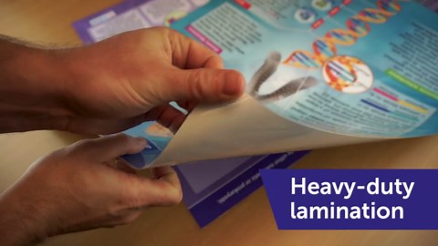 Daydream Education Food Pyramid Science Poster - Laminated - EXTRA LARGE 33” x 23.5” - STEM Middle & High School Classroom Decoration - Wall Charts