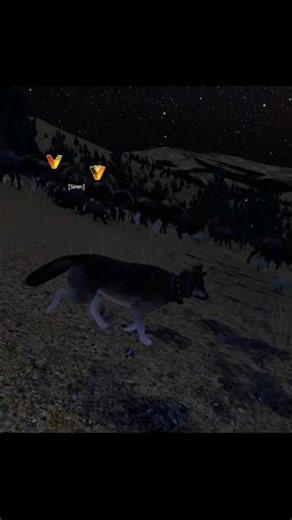 [WolfQuest AE] Shorts #4