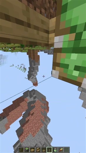 Minecraft X-Ray Glitch 🤓 #minecraft