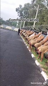 Commando training basic ☠️🥷 #shorts #nsgcommando