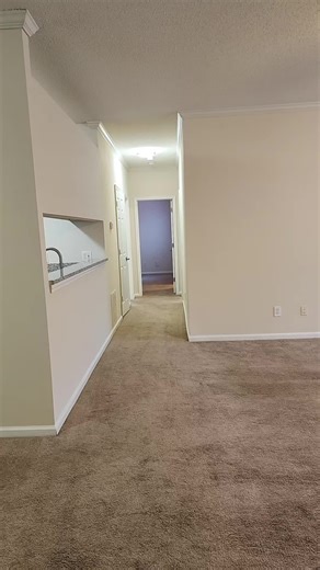 2 Bedroom 1 Bath Apartment Ready in Columbia SC