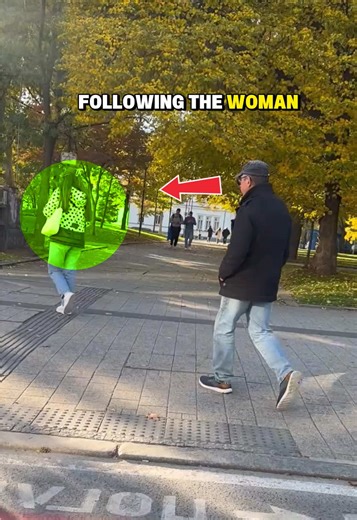 Master English Easily with Lingoji Online Courses