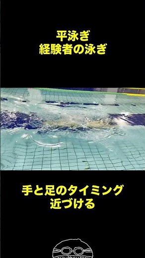 初心者/経験者の平泳ぎ #swimming #swim #水泳教室 #水泳 #泳ぎ方 #平泳ぎ