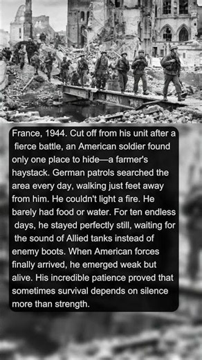 The Soldier Who Hid Inside a Haystack for 10 Days | Military History Talks