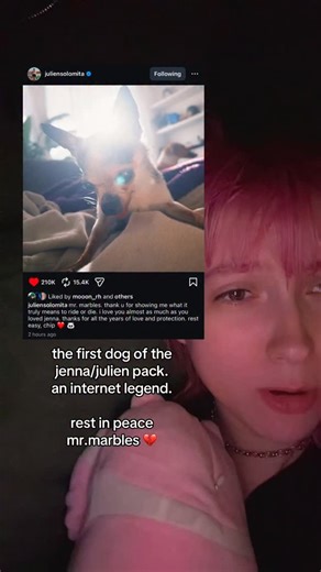 i remember being shown my first jenna marbles video in middle school and it being the first time i had really followed everything someone posted online. i remember nights alone painting stage floors while playing their podcast in college. and even now, in jenna’s retirement, i still put on julien’s twitch streams to ground me in adulthood. all while this little guy was around to love and be loved by them ❤️‍🩹 rest in peace lil man #jennamarbles #juliensolomita #mrmarbles #jaym0v | Jaym0v