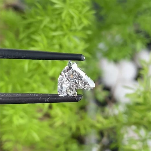 Horse Head Shape Lab Grown Diamond, Fancy Shape Man Made Diamond, Horse Head Diamond