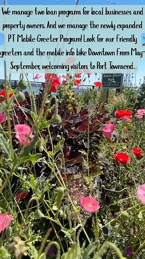 🎉 GIVE BIG WA is here – May 6–7! 🎉 For 40 years, the Port Townsend Main Street Program has been at the heart of keeping PT vibrant, beautiful, and full of community spirit — and we’re just getting started! 🌟 Your donation supports: 🌸 20 beloved community events — like the Town Photo (May 31st!), Concerts on the Dock, Uptown Street Fair, Trick or Treat, Shop & Sip, Haunted Histories & Mysteries, and Holidays in PT. 🌼 Rain gardens, hanging flower baskets, 100 sparkling holiday lights, festive