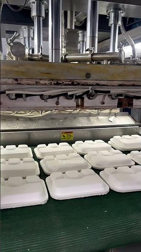 Bagasse Meal Box Manufacturing Machine in Action #bagasseproducts