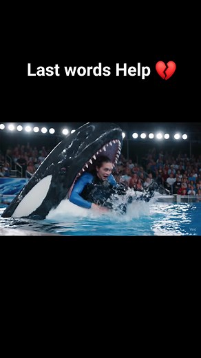 #orca #shark #Radcliff | Luna Ava