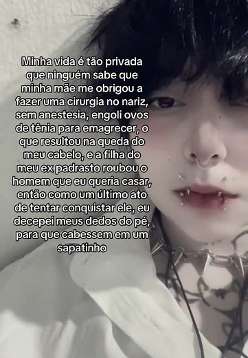 A Vida Privada da Cinderela e Seus Desafios