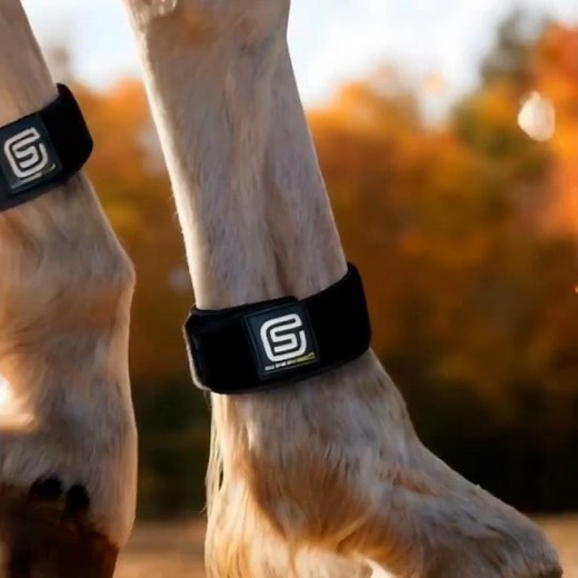 EQU StreamZ Horse Bands, all season care for horses.