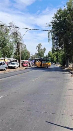 371💎 #microsamarillas #microsantiguas #pasionmicrera #parati