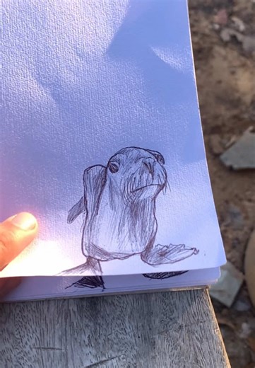 Discover the Fascinating World of Sea Lions