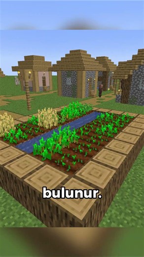 MINECRAFT'A BILINMEYEN BILGILER PART 6!? ⛏💎
