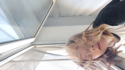 Window