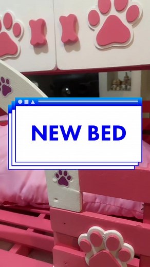 #DogsOfTiktok #petsoftiktok #Dog #ShihTzu #DogLover #DogLover #fypシ #Pets #shihtzusoftiktok #WonderKaloys