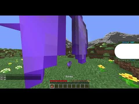 DonutSmp Bundle Dupe 1.21