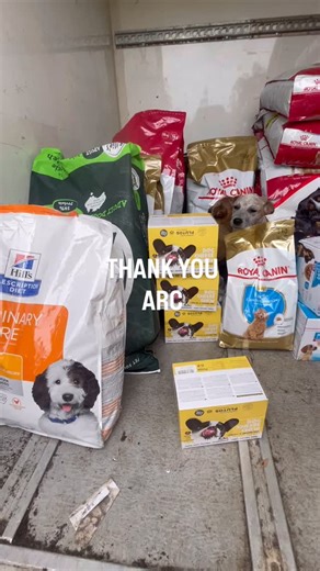 What we do at Working Paws Dog Rescue relies heavily on donations. Without them, we couldn’t help dogs when they need us most. We are very grateful to Animal Rescue Cooperative (ARC) Companion Animal Rescue Food Program supported by Petbarn Foundation for their generous donation of food, flea tick and wormers, raised dog beds and dog treats! We couldn’t do this without you! Your support means the world to a small rescue like ours. The dogs also give their thanks!! 🐶🐾 #PetbarnFoundation #RoyalC