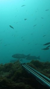 Maybe.....❤️🙏✨️🪬 | David Fernández Montero