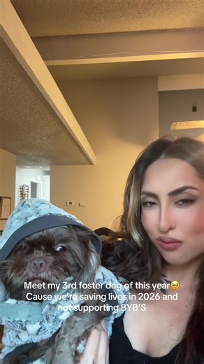 Fostering Dogs Saves Lives in 2026