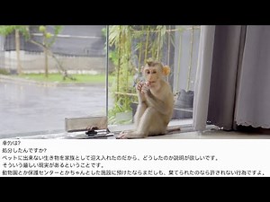 保護猿のコウ君は？処分した？